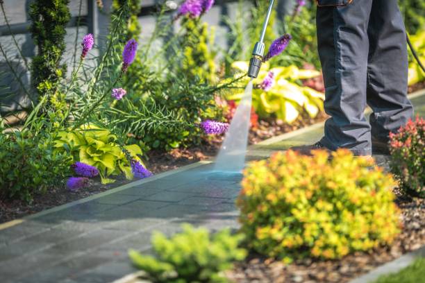 Best Sidewalk and Walkway Cleaning  in Kentwood, MI