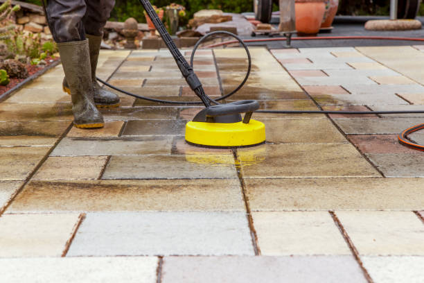 Best Solar Panel Cleaning  in Kentwood, MI