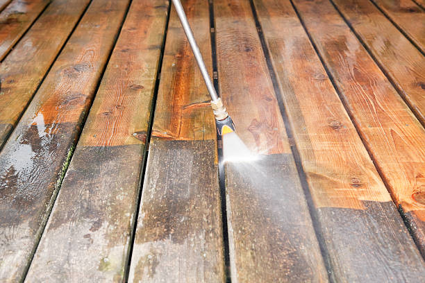 Best Driveway Pressure Washing  in Kentwood, MI